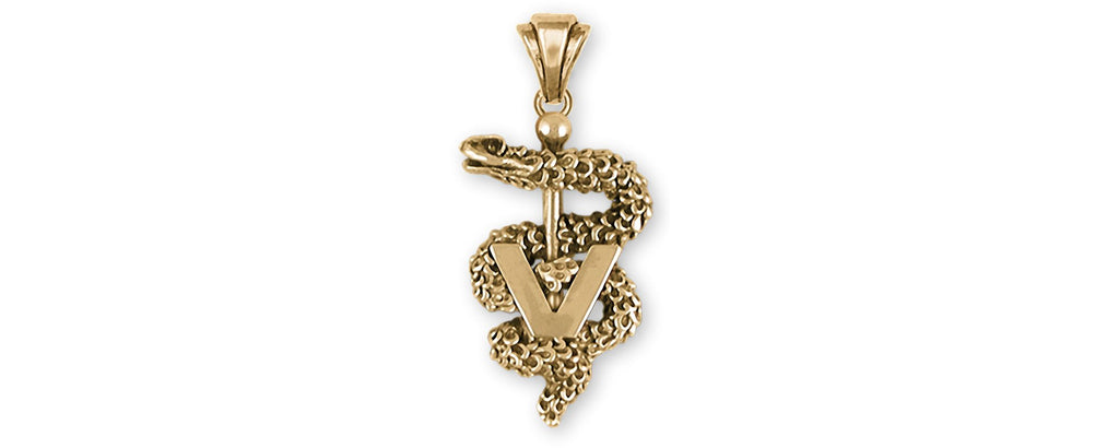 Veterinary Caduceus Charms Veterinary Caduceus Pendant 14k Yellow Gold Veterinary Caduceus Jewelry Veterinary Caduceus jewelry