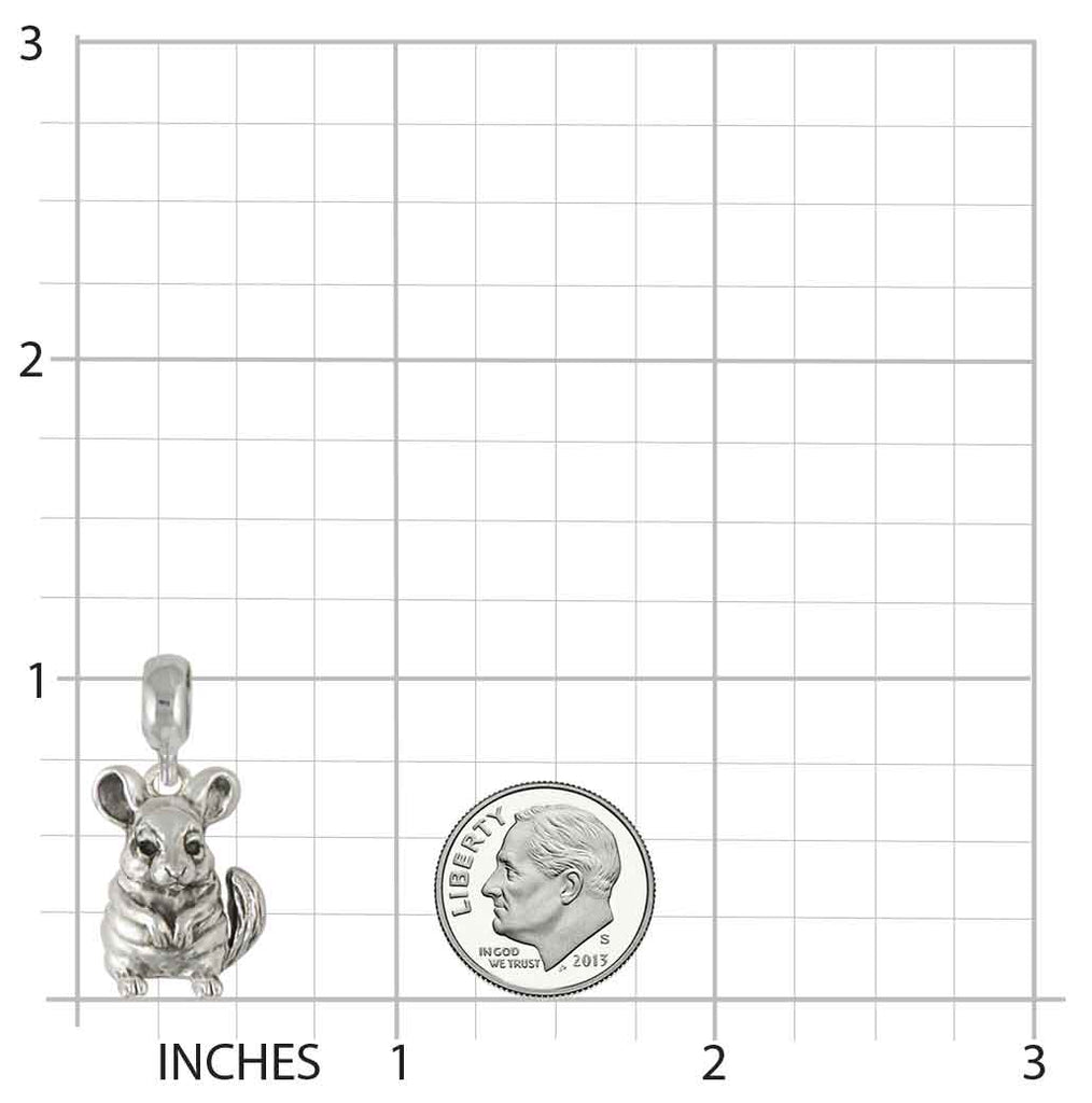 Chinchilla Jewelry Sterling Silver Handmade Chinchilla Charm Slide This Charm Will Fit A Pandora® Slide Bracelet CL10-PNS