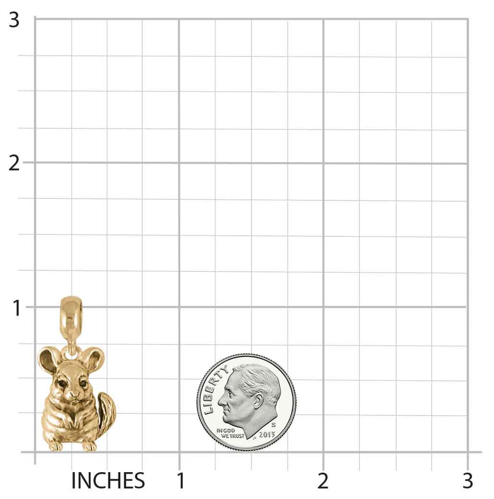 Chinchilla Jewelry 14k Gold Handmade Chinchilla Charm Slide This Charm Will Fit A Pandora® Slide Bracelet CL10-PNSG
