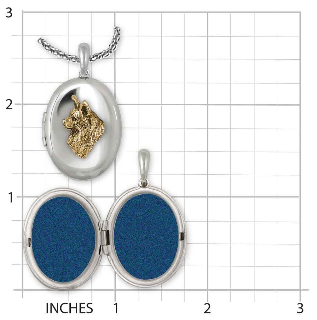 Maine Coon Photo Locket Silver And 14k Gold Handmade Maine Coon Cat Jewelry  MN14H-TNV