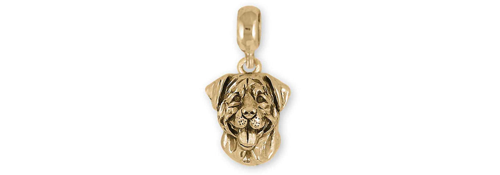 Rottweiler Pandora Charms Rottweiler Pandora Slide Bracelet And Charm 14k Yellow Gold Rottweiler Jewelry Rottweiler Pandora jewelry