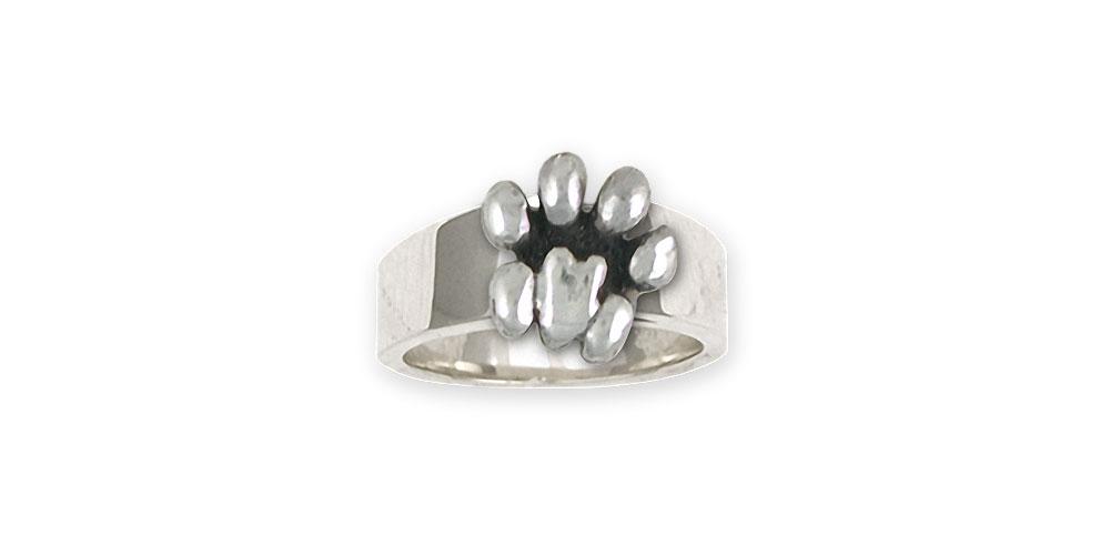 Lion Paw Charms Lion Paw Ring Sterling Silver Lion Jewelry Lion Paw jewelry