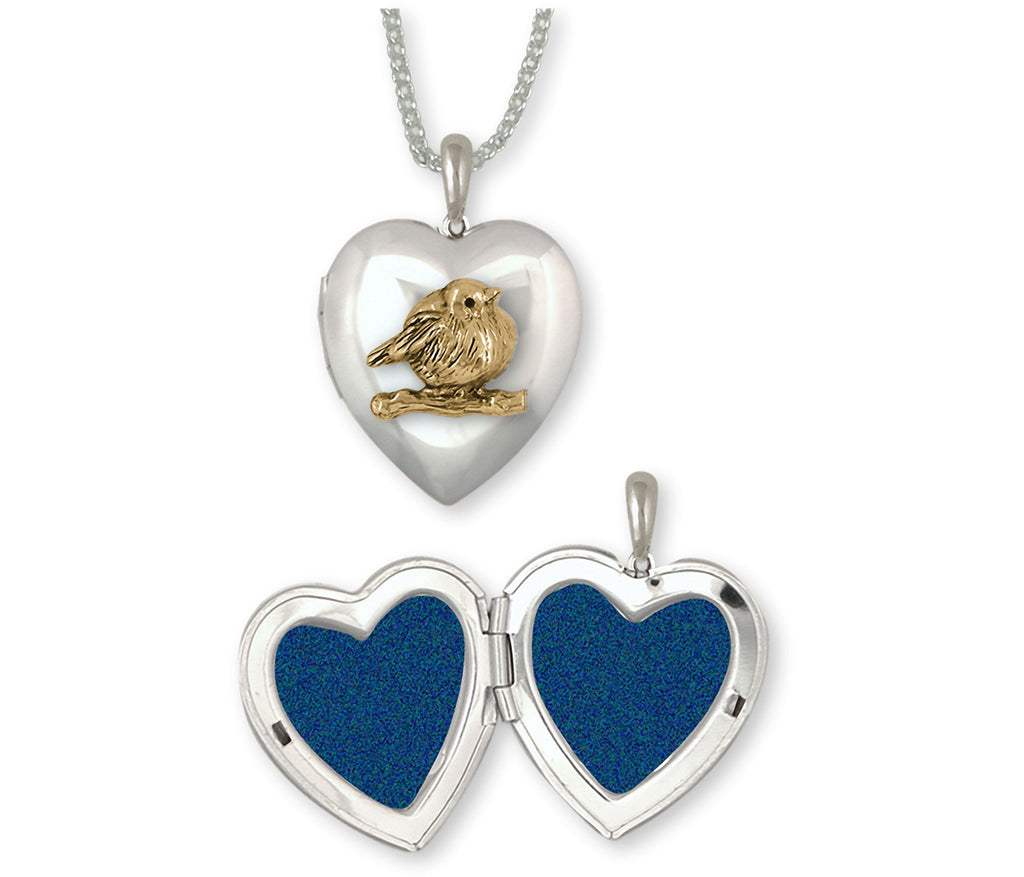 Love Bird Charms Love Bird Photo Locket Silver And 14k Gold Love Bird Jewelry Love Bird jewelry